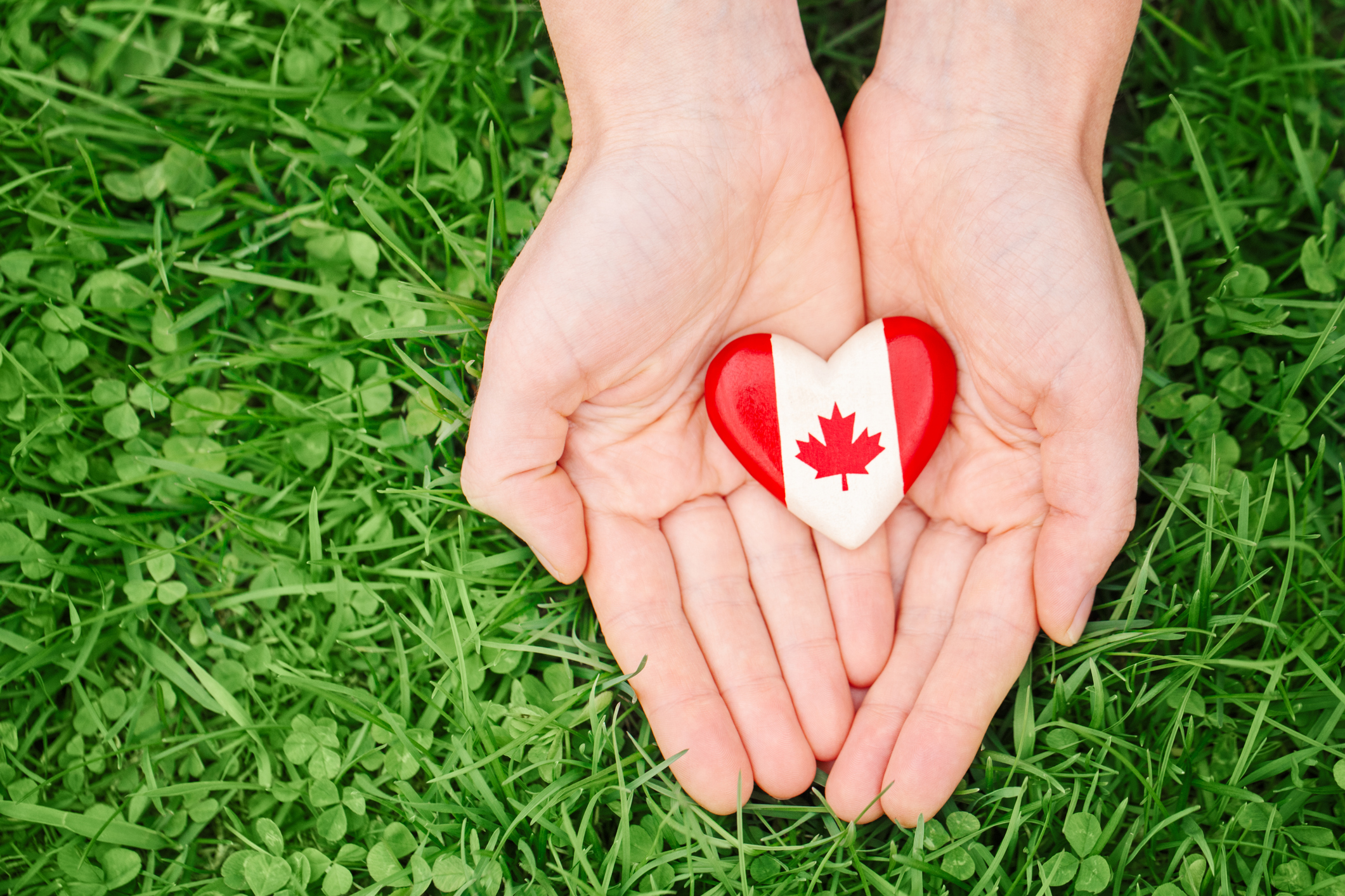 Open hands holding a heart shaped stone with the Canadian flag painted on it.